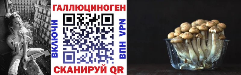 Галлюциногенные грибы Cubensis  omg онион  Алушта  наркотики 